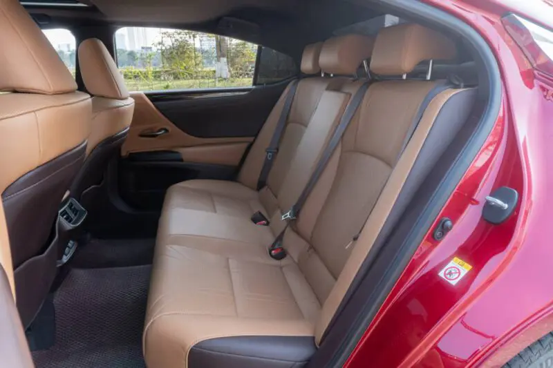 ES250-2019-Do-nau_1-800x533