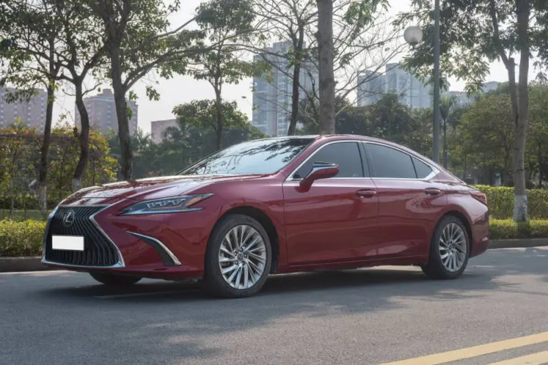 ES250-2019-Do-nau_10-800x533