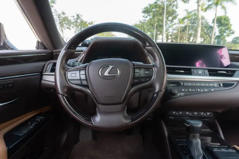 ES250-2019-Do-nau_3-800x533