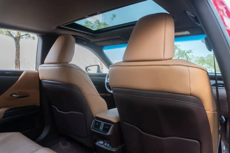 ES250-2019-Do-nau_4-800x533