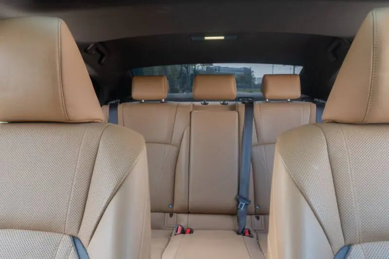 ES250-2019-Do-nau_6-800x533